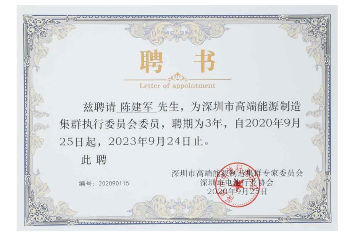 深圳市高端能(néng)源制造集群執行委員會(huì)委員